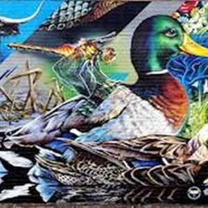 Aylestone Meadows mural
