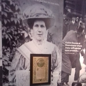 Alice Hawkins display