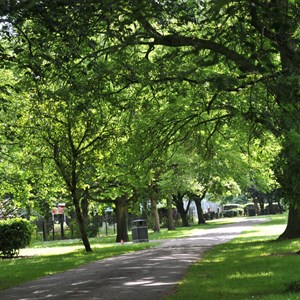 Image: AbbeyPark