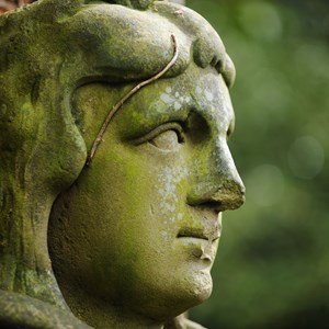 Statue head in Belgrave Hall and Gardens