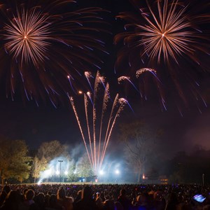 Fireworks over Abbey Park