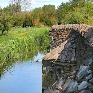 Picture of Aylestone Meadows