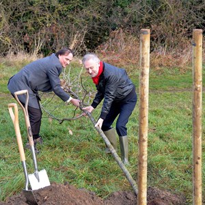 Tree planting at Castle Hill Country Park