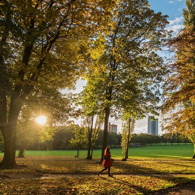 Victoria Park in autumn