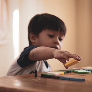 Image: A picture of a young boy with a jigsaw puzzle