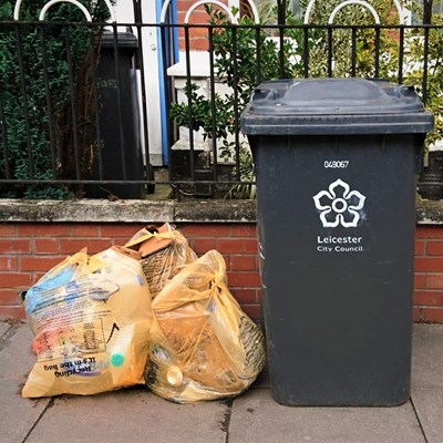 Bins and recycling