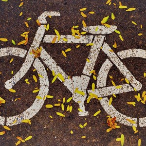 Cycle lane sign