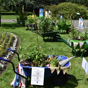 Image shows school 'mealbarrows' on display in Evington Park