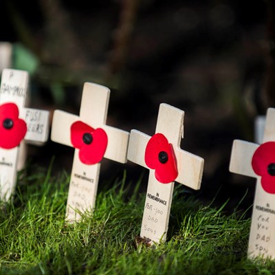 Remembrance Day poppies and crosses