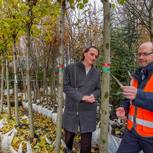 Elm trees arrive at the council's depot, ready for planting