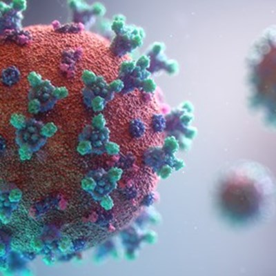 A close-up electron microscope image of a coronavirus