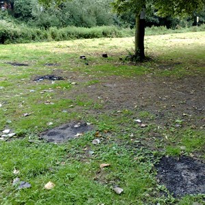 scorched earth in park