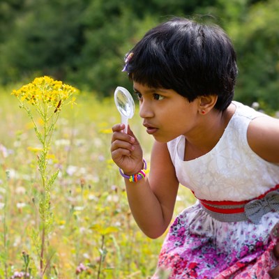 A girl with a magnifying glass looking at a caterpillar. Copyright Jon Hawkins