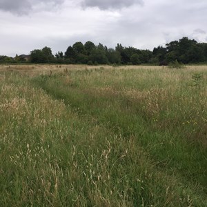 The Franklyn Fields site in Aylestone Leicester