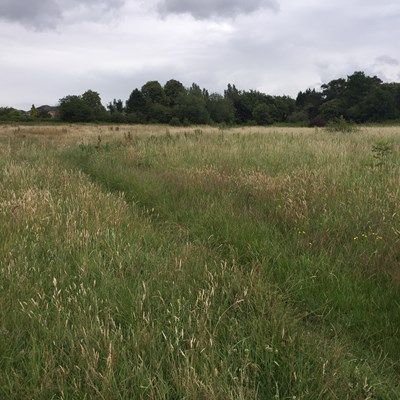 The Franklyn Fields site in Aylestone Leicester