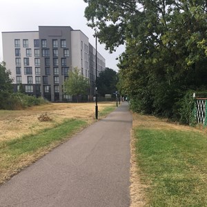 Section the Great Central Way