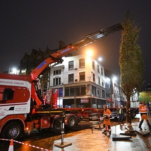 Christmas tree arrives in Leicester