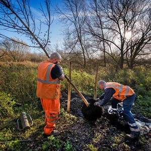 Tree planting at Watermead Park