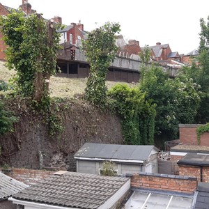 Six metre high wall with trees on top