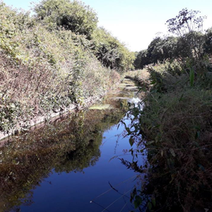 Part of Saffron Brook in Leicester which will be improved