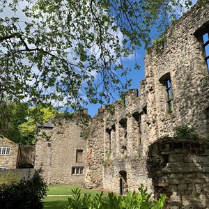 Abbey Park ruins, Leicester