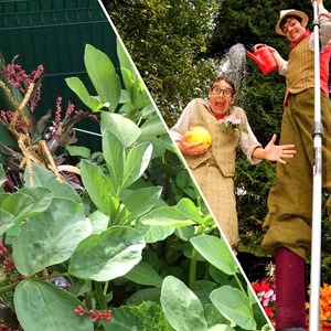 Crops and performers featured in the event