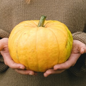 pumpkin