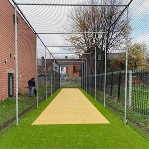 cricket net