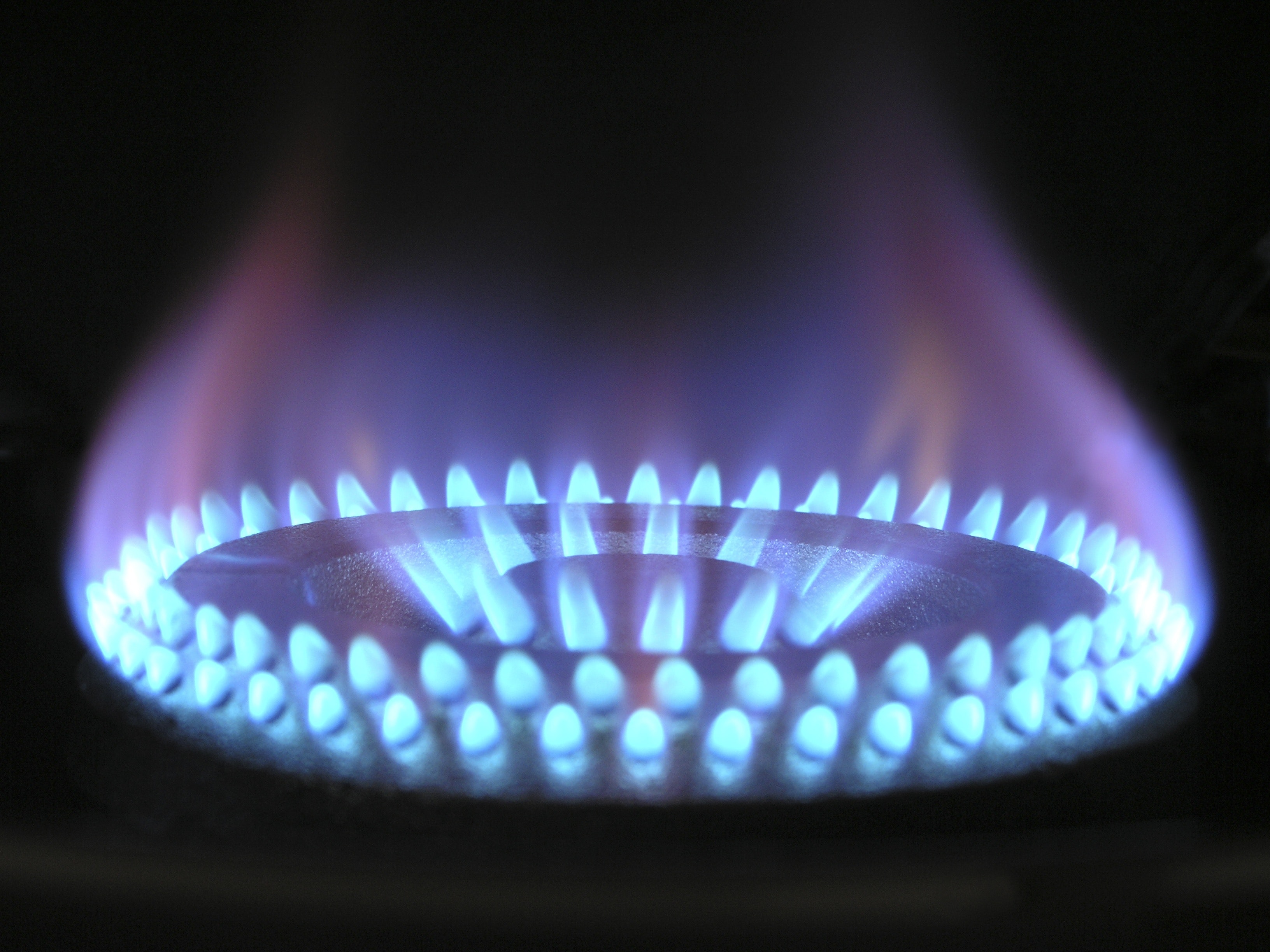 a gas ring burning bright with blue flames