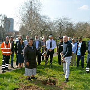 Tree planting taking place in St Matthews