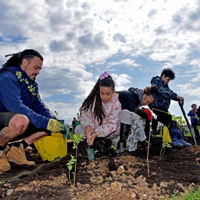 A tree-planting event for the Tiny Forests project at Nether Hall school