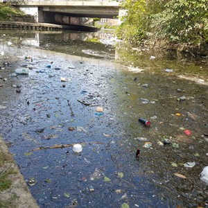 Litter in the Willow Brook