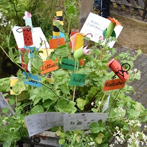 Meal barrow