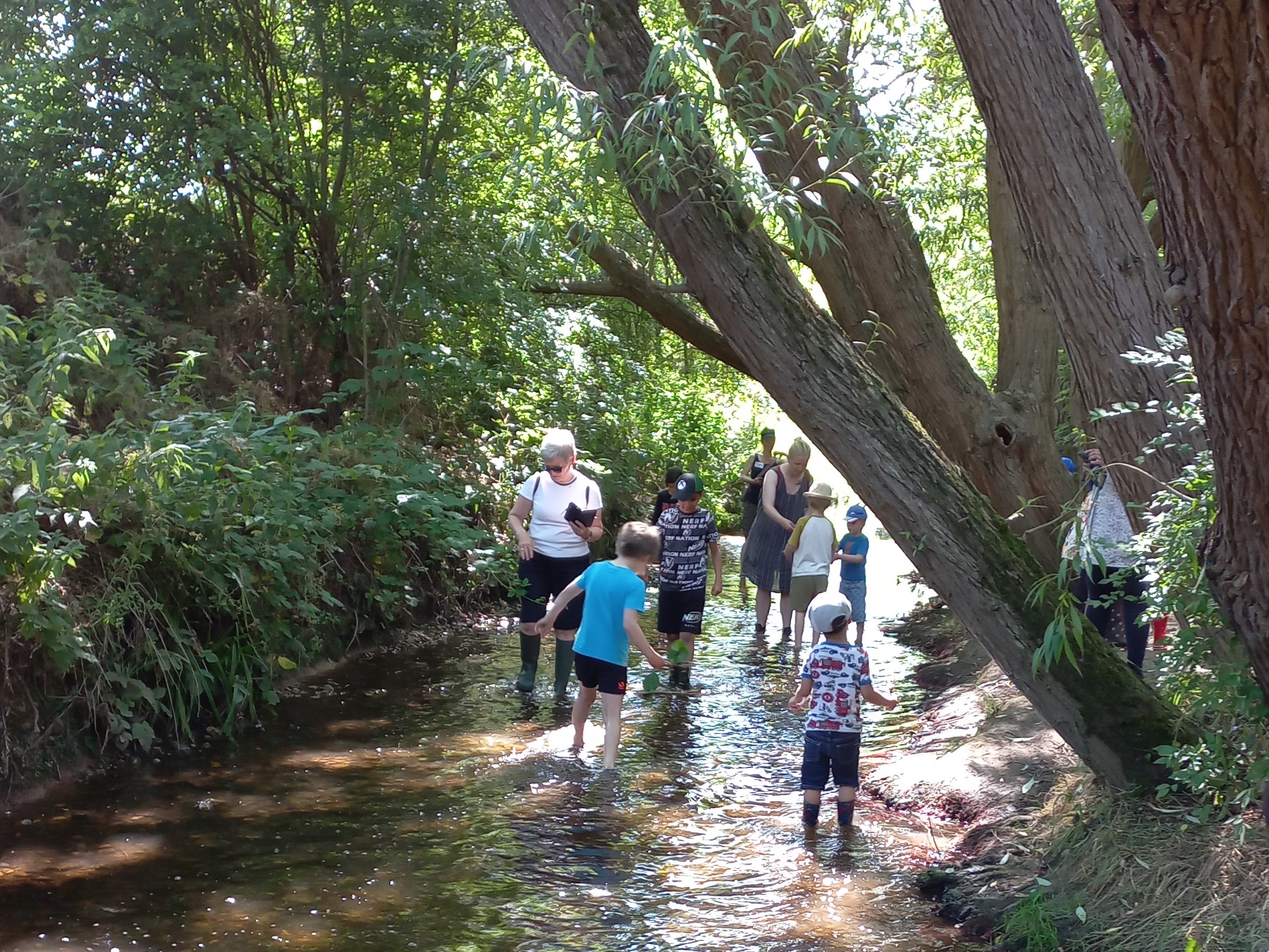 A picture of Saffron Brook