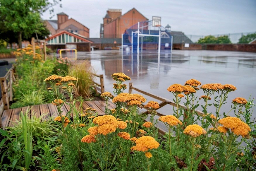 Abbey Mead Primary School rainwater garden