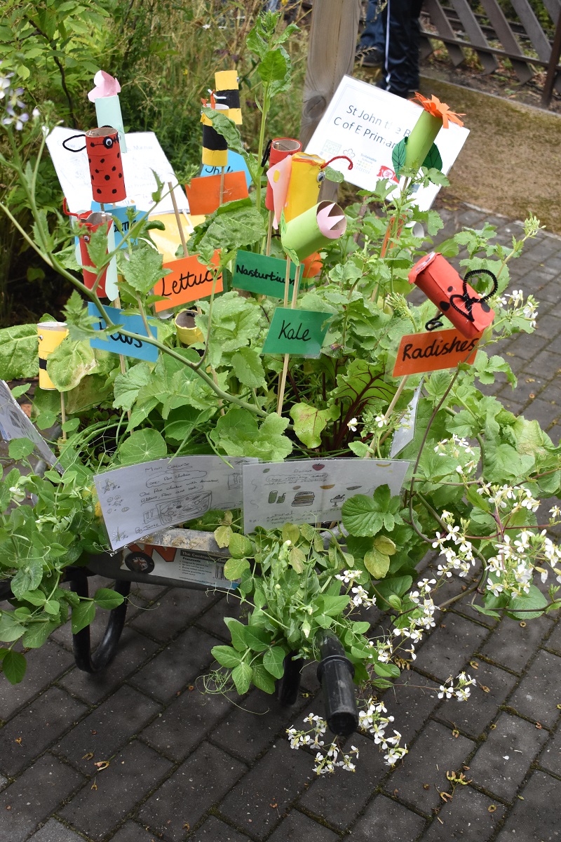 A planted-up mealbarrow from a previous Grow Your Own Grub competition