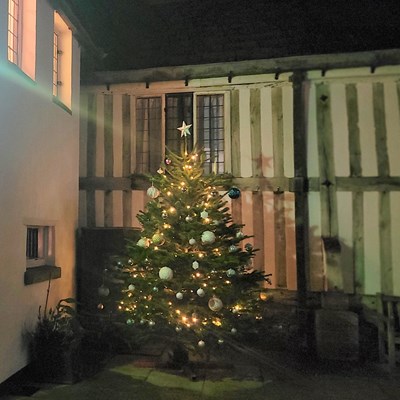 Christmas tree at the Guildhall