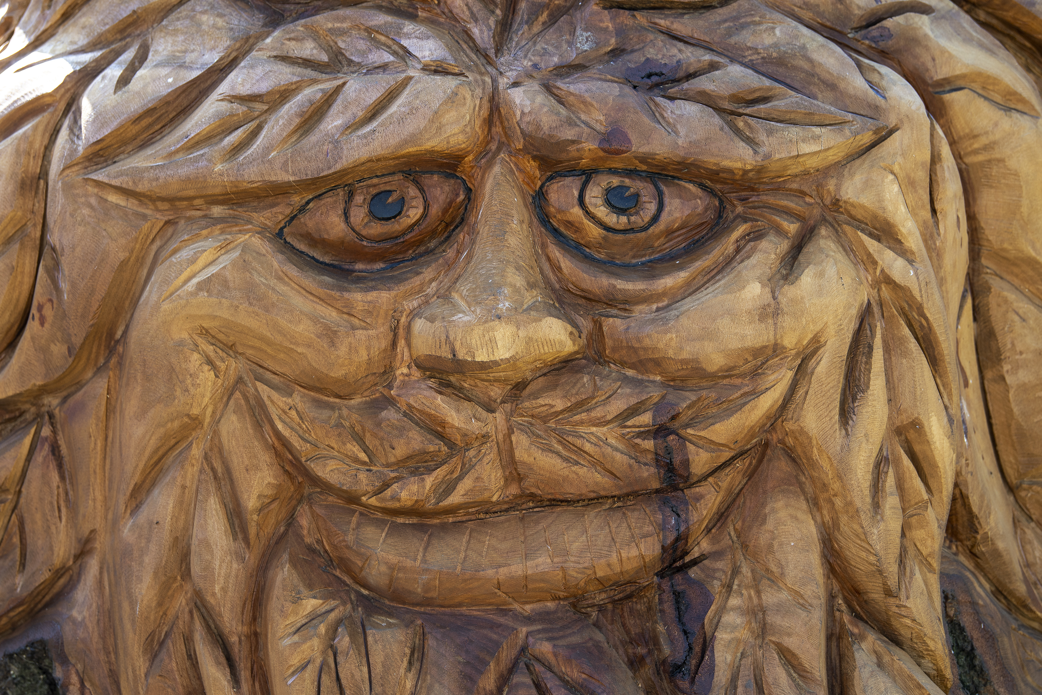 A new 'throne' has been created from a tree trunk in Abbey Park, carved by a member of the trees and woodlands team