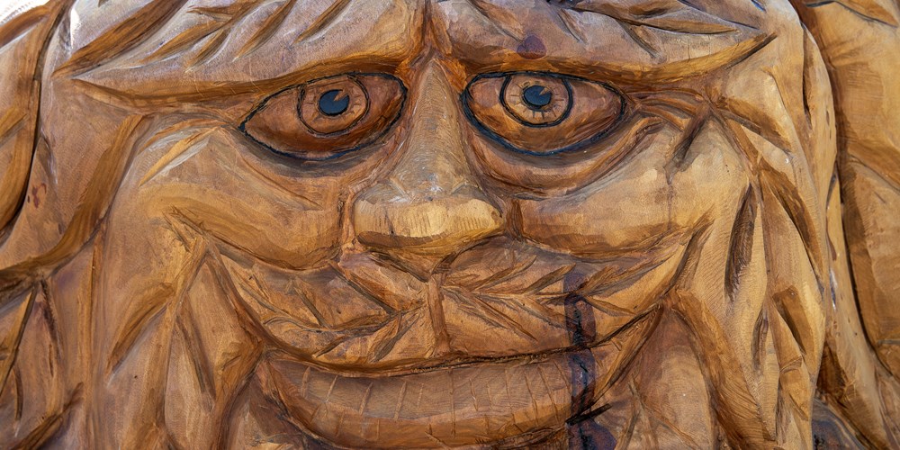 A new 'throne' has been created from a tree trunk in Abbey Park, carved by a member of the trees and woodlands team