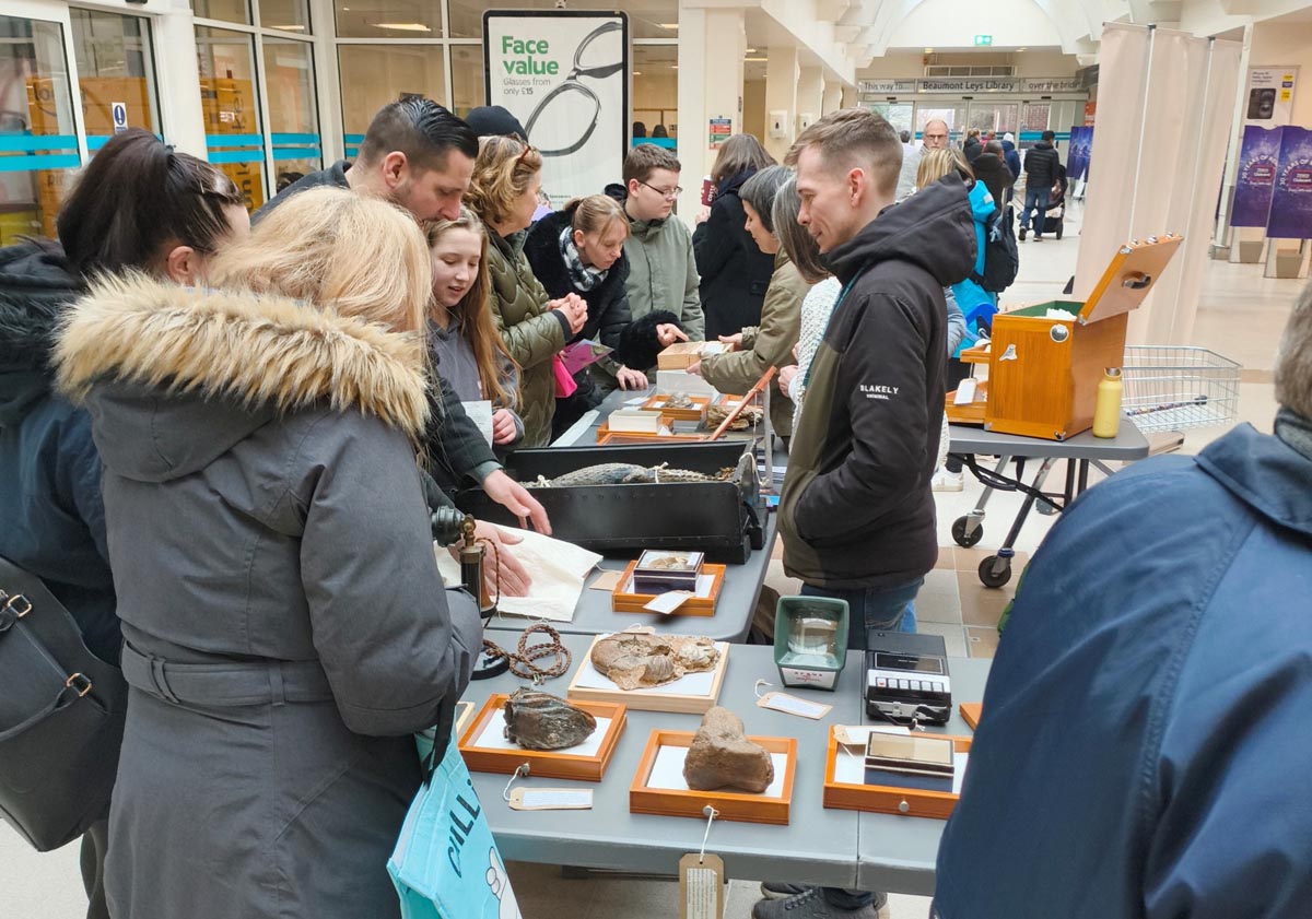 Leicester's mobile museum, 'The Cabinet of Curiosity'.