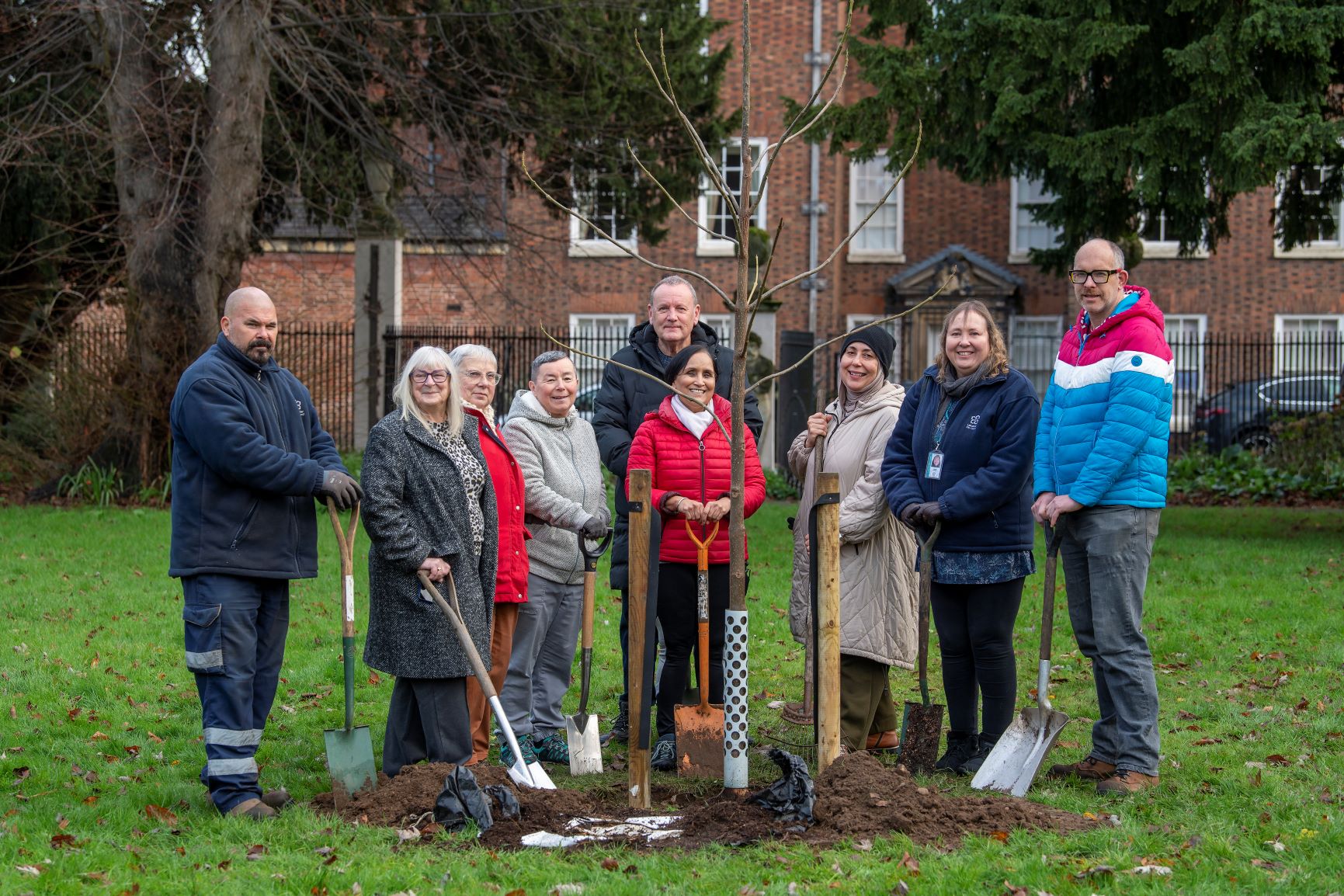 Cllr Vi Dempster joins volunteer tree wardens to plant a foxglove tree in Belgrave Gardens