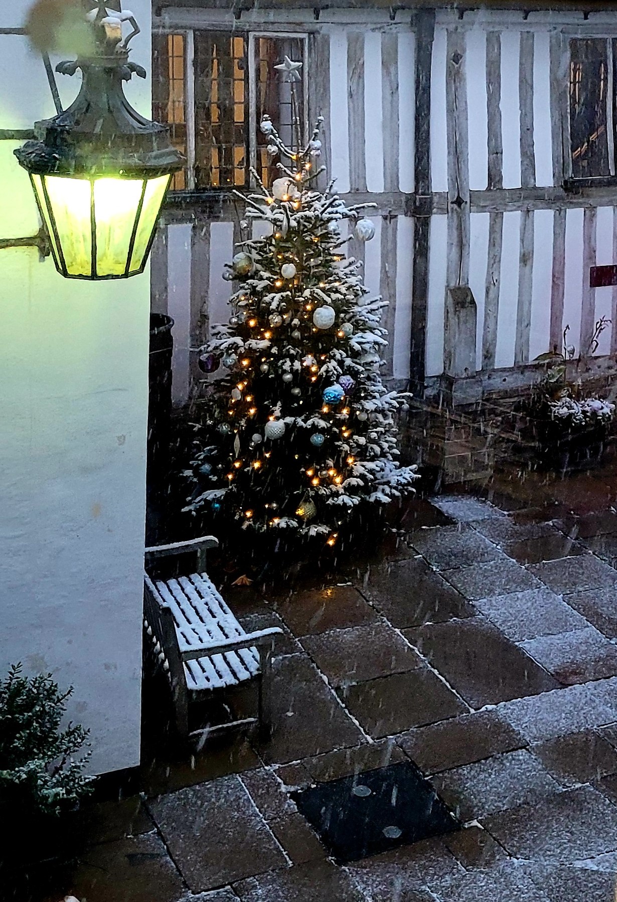 The Christmas tree in the Guildhall's courtyard