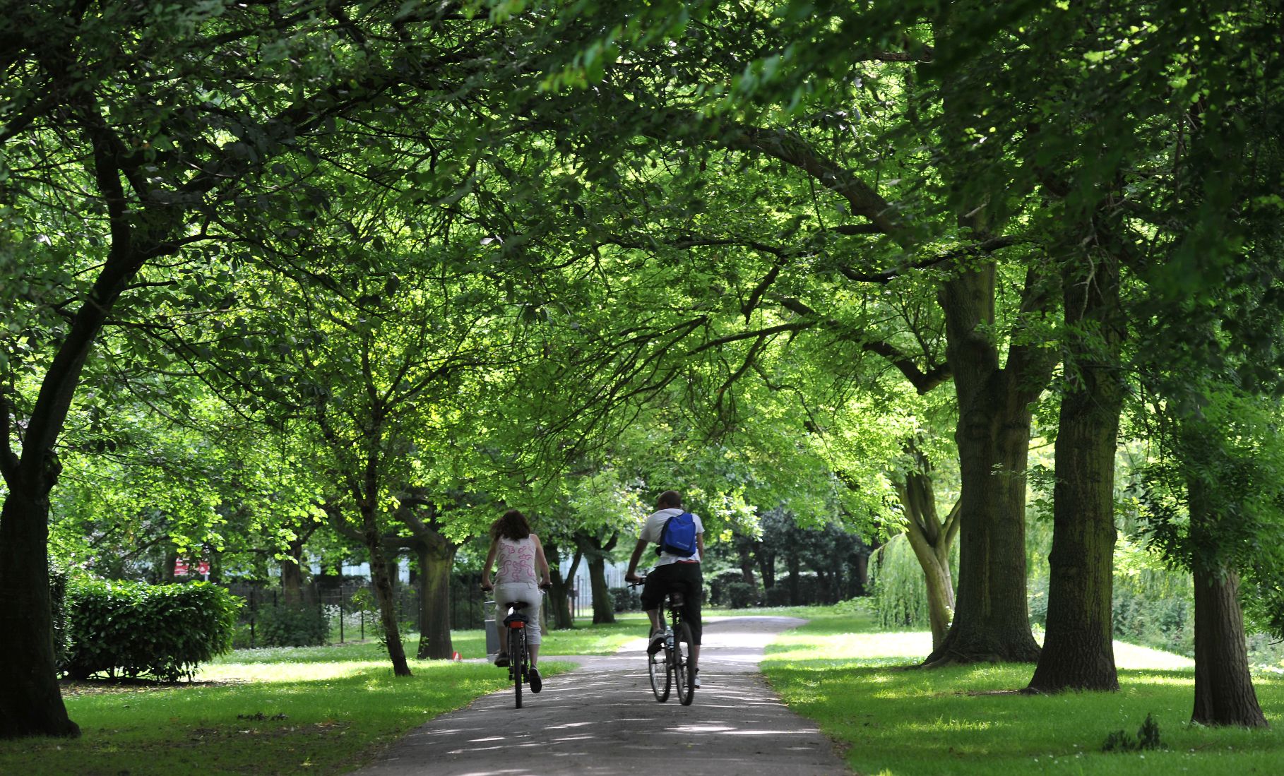 cyclists in abbey park