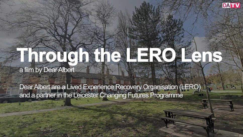 Through the LERO Lens title page