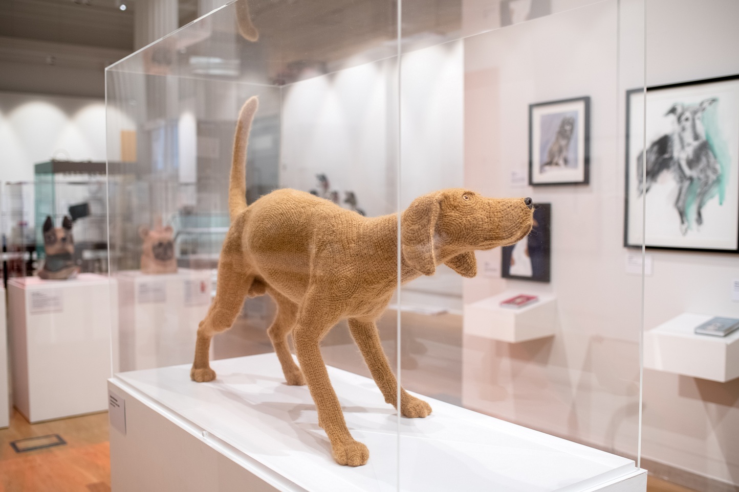 A Dog's Life exhibition at Leicester Museum and Art Gallery