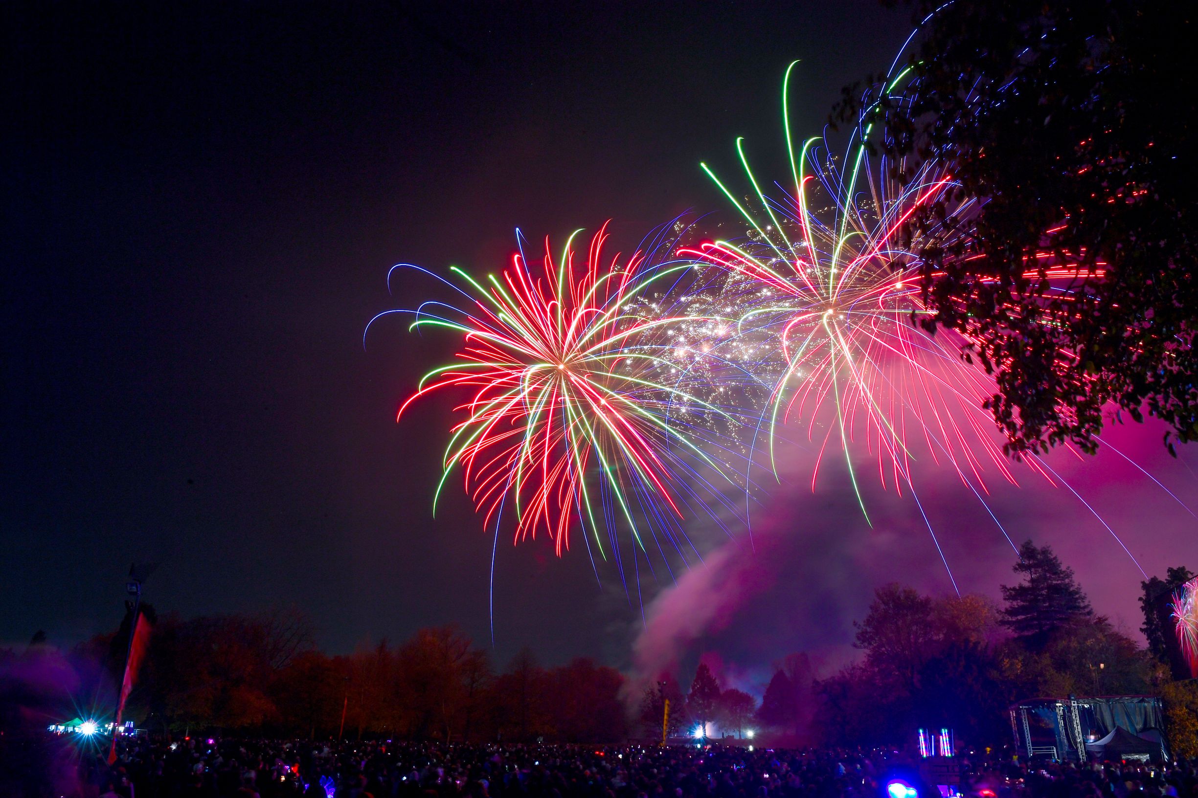 Fireworks at Abbey Park